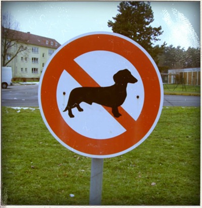 sign_dachshund