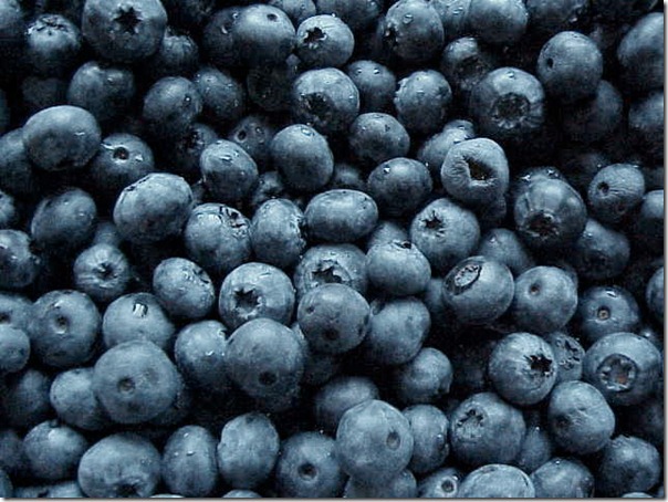 blueberries_earlyblue