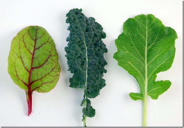Dark-Leafy-Greens-Are-Good-Sources-of-Calcium