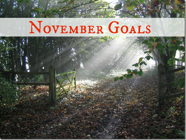 November Goals - via simply-nicole.com