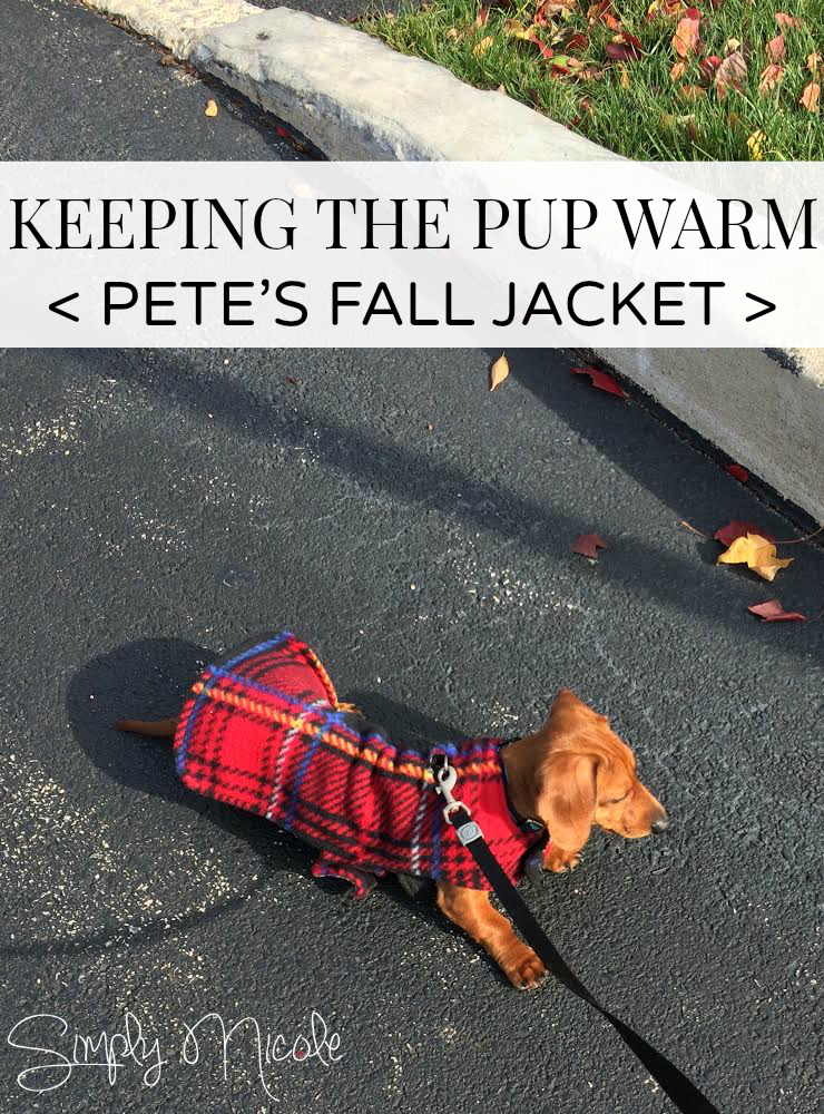 Pete's Fall Jacket at simply-nicole.com
