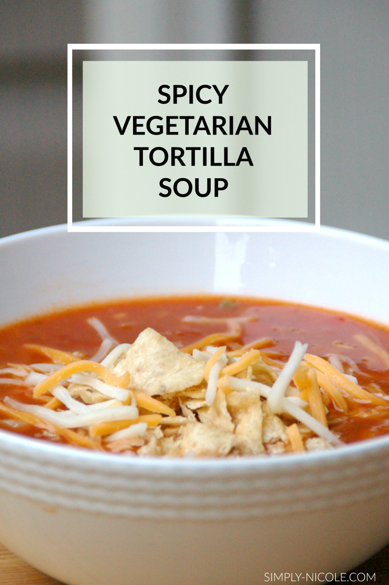 spicy vegetarian tortilla soup