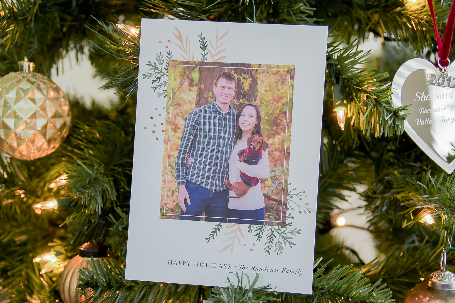 Minted Christmas Card Review