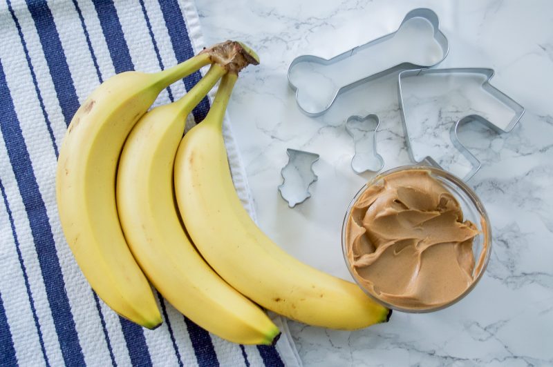 Peanut butter banana dog treat recipe